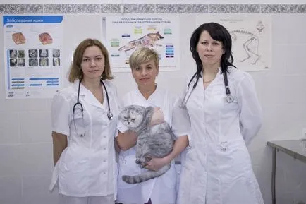 Lusk, állatorvosi klinikák Balakovo