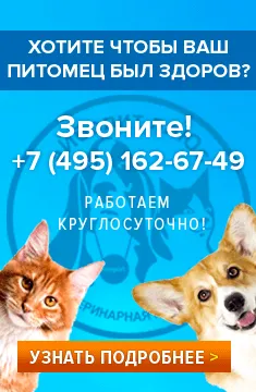 Mamedov Zurab - állatorvosi homeopata, egy szülész-nőgyógyász, sebész, háziorvos, szakorvos akupunktőrt