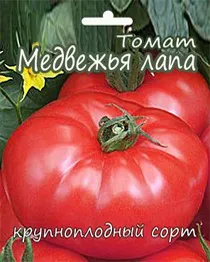 Ursul Paw - soiuri de tomate din Siberia de conaționalii de grup în grădină!