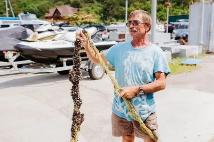 Kagyló főzés oktatás, élelmiszer lovas