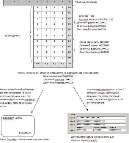 Mifare sau em marin - alege un card de acces pentru controlul accesului