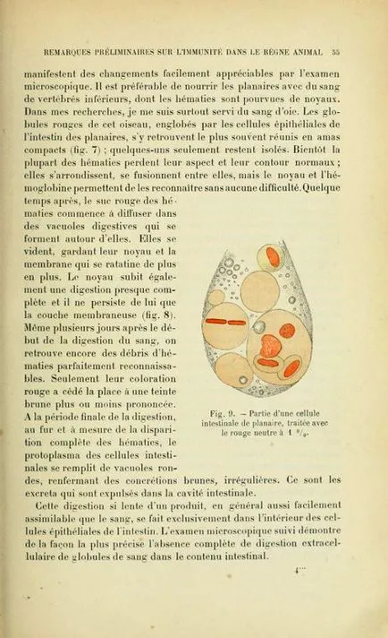 kardos és