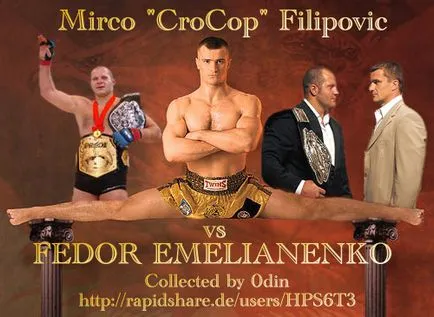 Mirko Cro Cop Filipovic