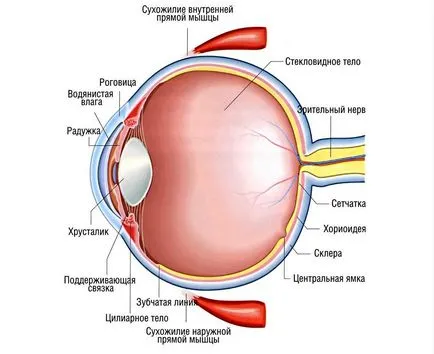 optikus neuropátia