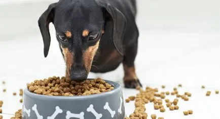 Преглед на суха храна за кучета Развъдници любим Nero Gold и Organix