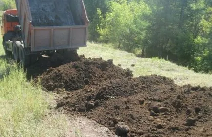 Ők nem várnak a sorsa ajándék