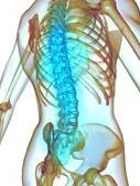 Complicațiile hernie intervertebral spinarii »spine❺