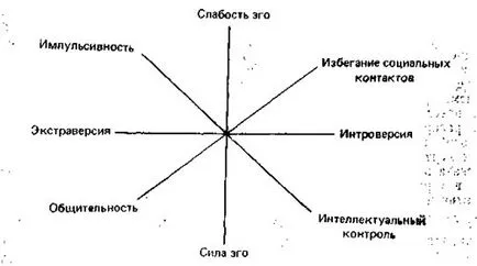 Chestionar pen (Hans și Sibilla Ayzenk)