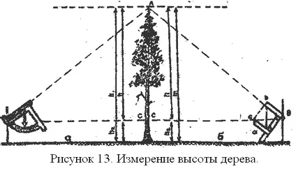 Determinarea diametrului și înălțimii arborelui - studopediya