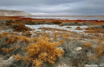 Barsakelmes Island - un loc unde nu se poate merge înapoi ...