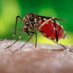 Mosquito Repeller за улицата с ръцете си