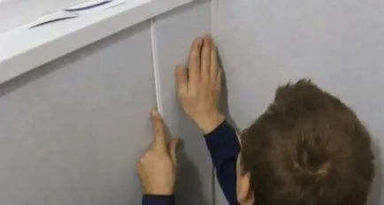 Finisare baie Instrucțiuni de panouri de plastic video pe modul de a decora propriile mâini, fotografii, cât costă