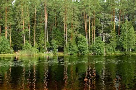 Страхотно място за отдих и риболов - щука езеро (Komarovo)
