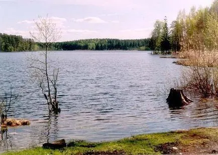 Страхотно място за отдих и риболов - щука езеро (Komarovo)