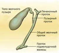 Инфлексна точка в тялото на жлъчния мехур, деформацията на симптомите и последствията