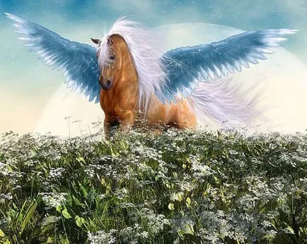 Pegasus снимки