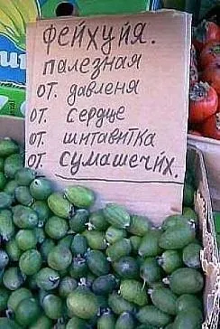 Детски градини за България, Урал, Сибир, разсад, семена, каталози - Градина Сибир