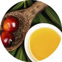 Avantaje și prejudicii de ulei de palmier pentru sănătate