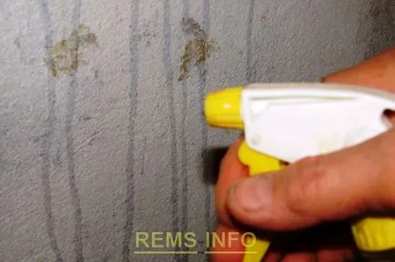 Боядисване на стените след отстраняване на боя на водна основа тапети