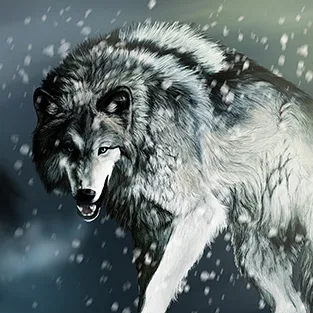 Imagini uimitoare Wolves (foto)