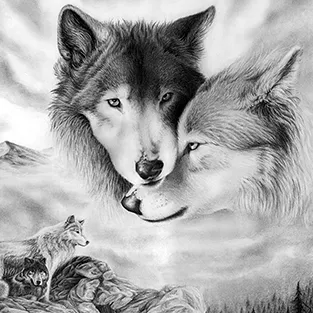 Imagini uimitoare Wolves (foto)