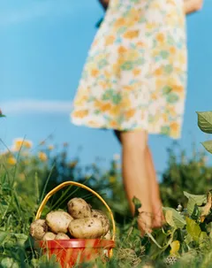 Produse alimentare ca medicament