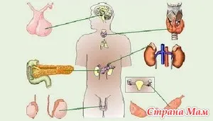 Sistemul endocrin Psihosomatica (partea 1