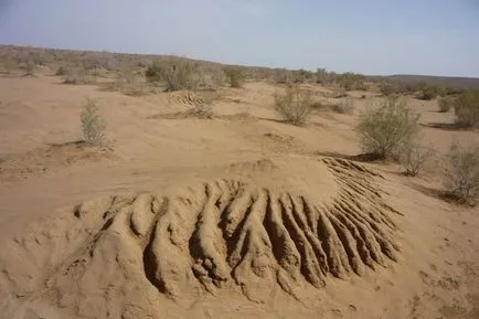 deserturi Karakum și Kyzylkum