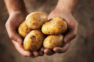 Гладно ден на картофи - менюта, ревюта