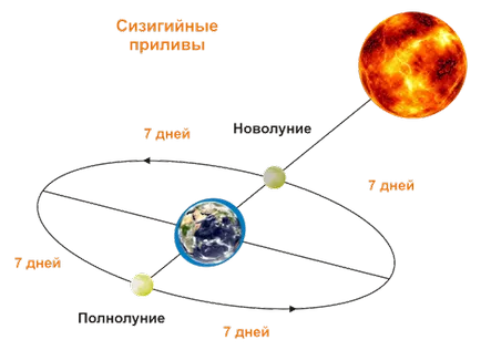 Подробна речник на термините яхта