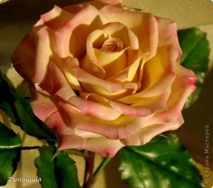Roses a hideg porcelán, hogyan Molde és más közüzemi modellezésére