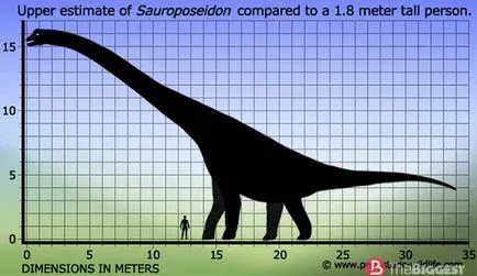 Най-големите динозаври в света (с голям списък на снимка)