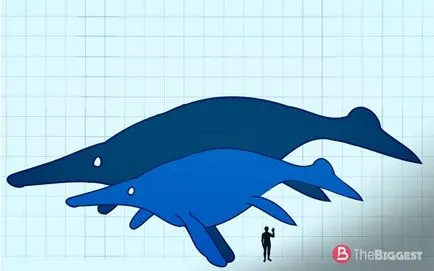 Най-големите динозаври в света (с голям списък на снимка)