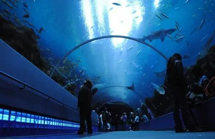 A legnagyobb akvárium a világon