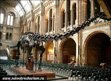 A legnagyobb dinoszaurusz a világ