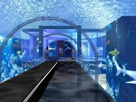 Най-големият аквариум в света, интересни факти