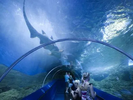 Най-големите аквариуми