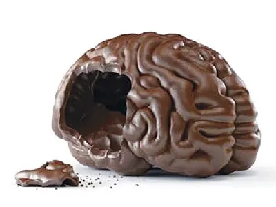 Шоколадът е добър за мозъка 1