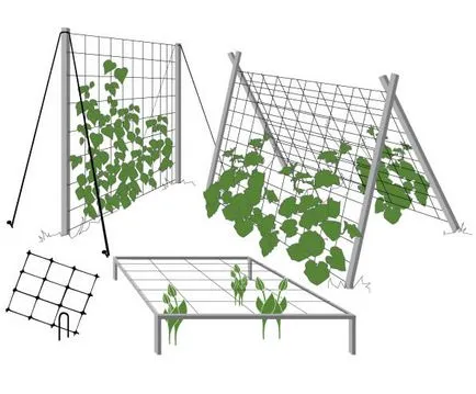 Spalier pentru trandafiri si plante cataratoare