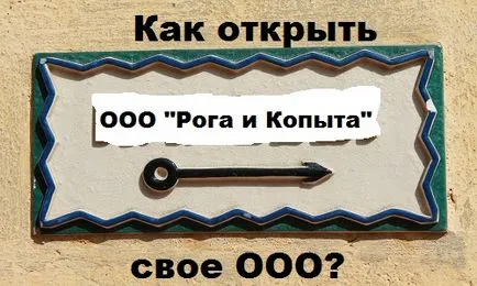 Споделихме оранжев или тънкостите на разпределение на акциите на стартиране