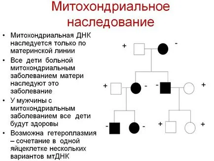 Митохондриални заболявания (tsitopatii)