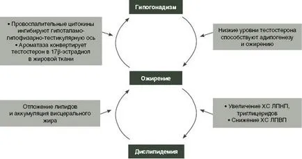 Sex változás műveletek nélkül deficit mód, 10. rész, az orvos Andrew beloveshkin egészségügyi erőforrások