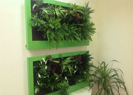 Създаване на вертикално озеленяване в идеите за апартамент снимка