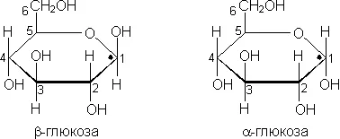 Structura, funcțiile și exemple de carbohidrați și lipide