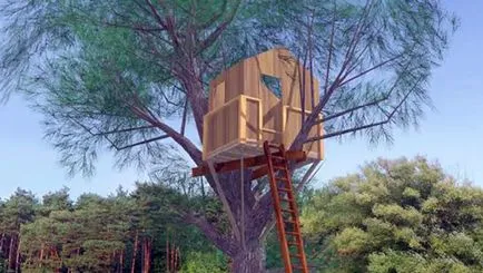 Строителство на къщи по дърветата