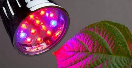 LED осветителни оранжерии - подробни инструкции!