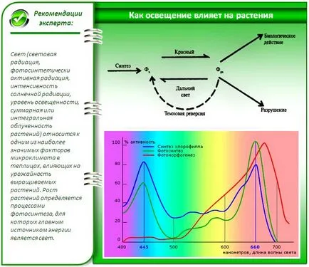 LED осветителни оранжерии - подробни инструкции!