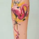 Tatuaj flamingo schițe de valoare în diferite stiluri și fotografii