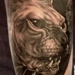 Tattoo Sphinx fontosságát, fotók, vázlatok, a legjobb