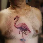 flamingo valoare tatuaj, fotografii și cele mai bune schite